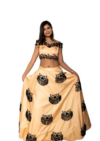 Solf Silk Beige Solid With Black Embroidered Lehenga